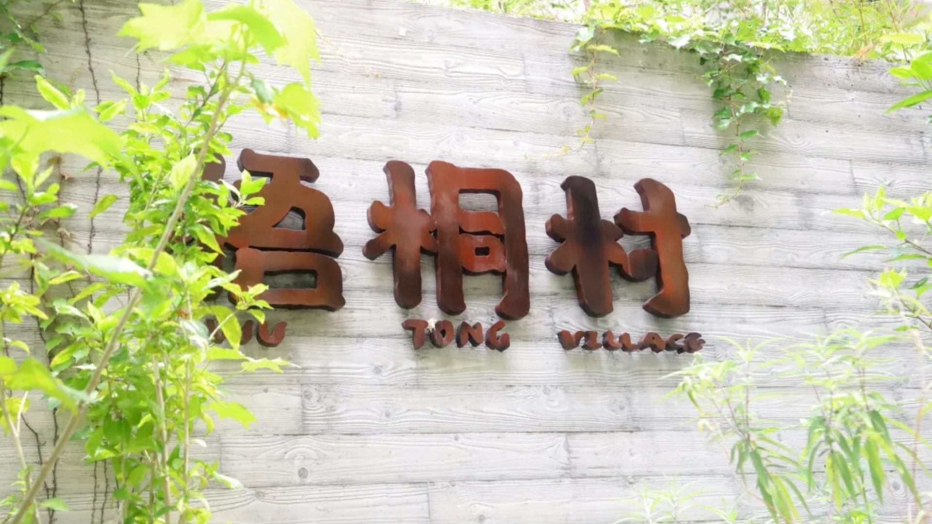 20250123_115517_000 20250123_115517_000