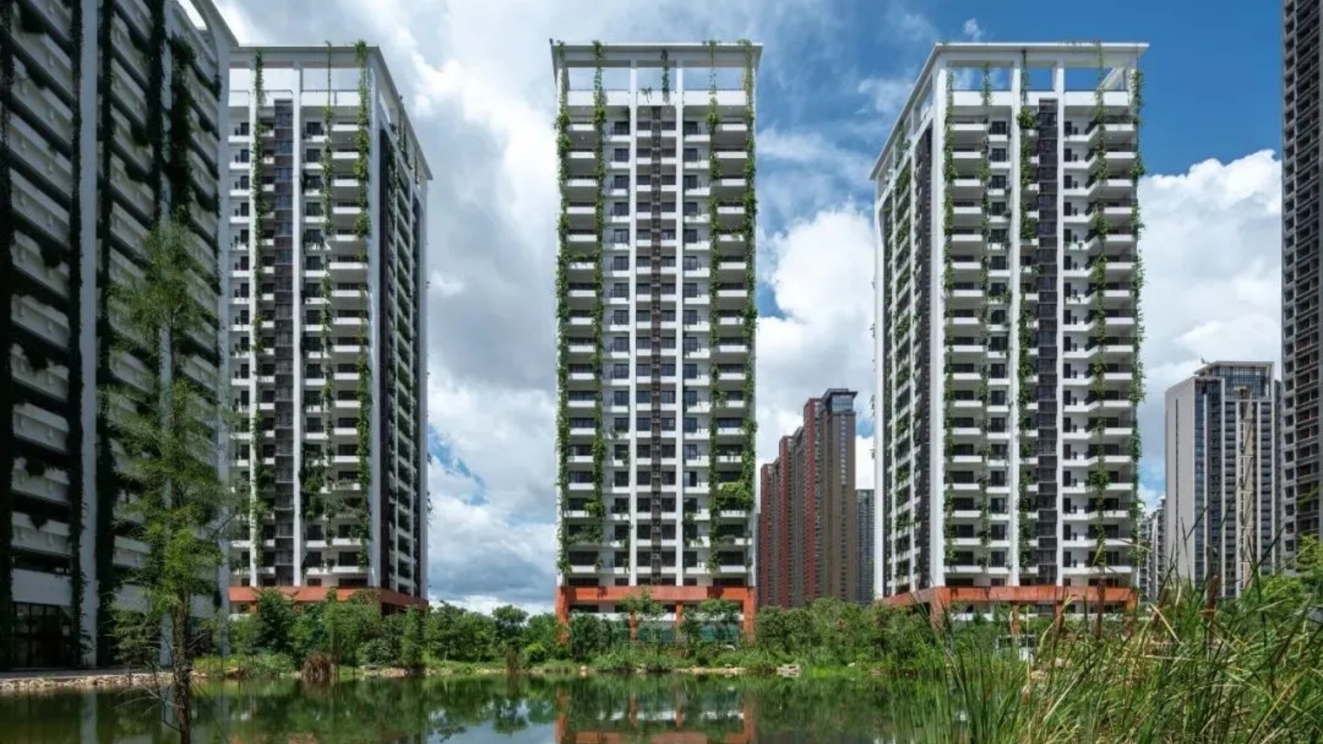 20250123_115517_002 20250123_115517_002