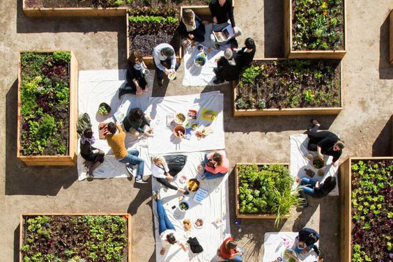 السياحة الأخلاقية والمشاركة المجتمعية