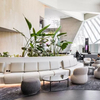 5 Star Hotel Lounge الأثاث العام