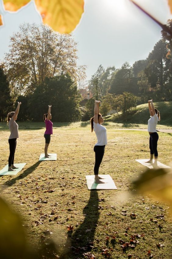 أنشطة العافية